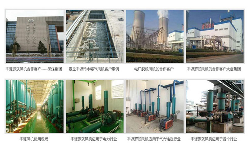 高壓風(fēng)冷羅茨鼓風(fēng)機(jī)應(yīng)用領(lǐng)域展示